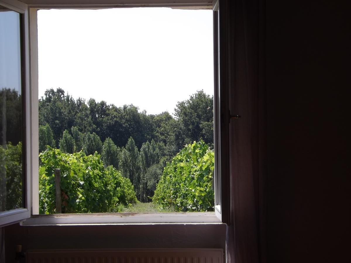 La Petite Auberge Comps  Eksteriør billede